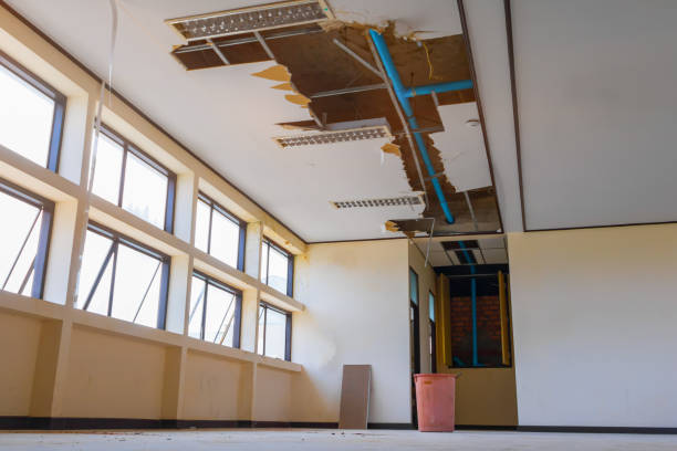 Best Water damage mitigation services  in Sawgrass, FL