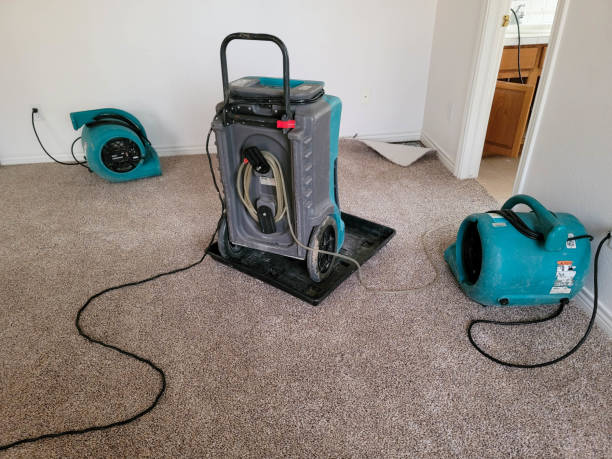 Best Carpet water damage restoration  in Sawgrass, FL