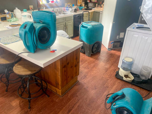 Best Water damage cleanup near me  in Sawgrass, FL