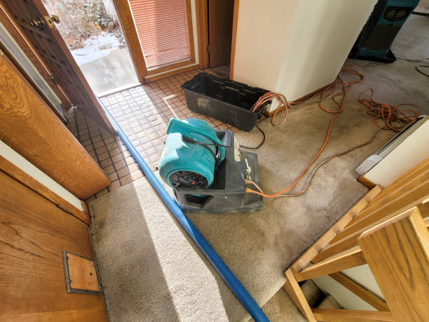 Best Basement water damage restoration  in Sawgrass, FL
