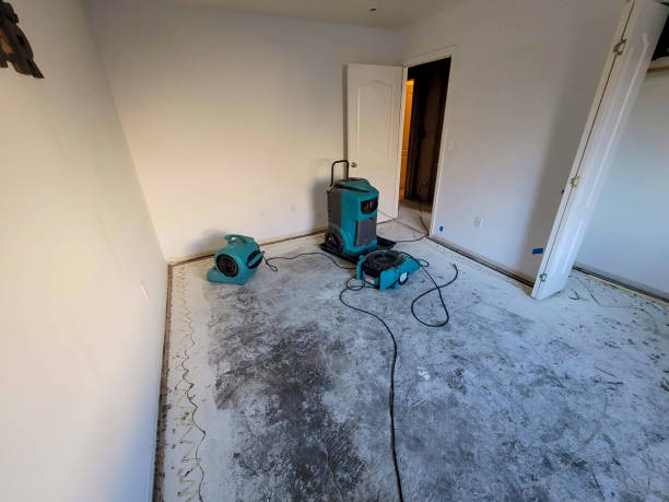 Best Flooded house restoration  in Sawgrass, FL
