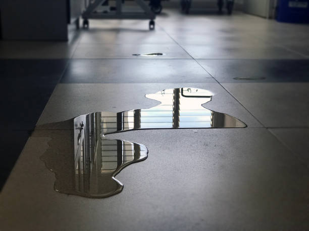 Best Local water damage restoration  in Sawgrass, FL