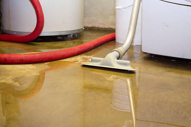 Water damage restoration experts in FL