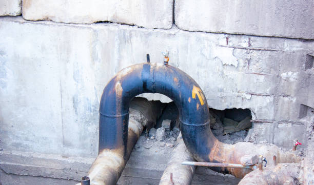 Best Flood restoration services  in Sawgrass, FL