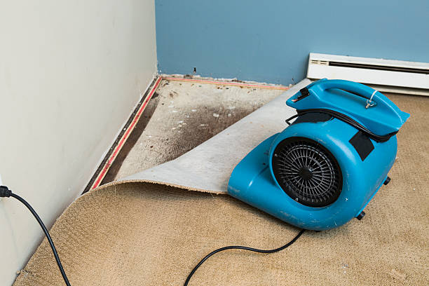  Sawgrass, FL Water damage restoration Pros